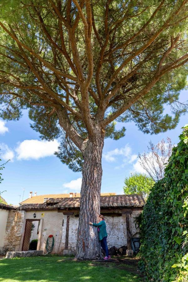 Holiday home Puerto Sanz